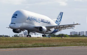 beluga_airbus_derichebourg_aeronautics-Copie.jpg