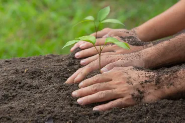close-up-picture-hand-holding-planting-sapling-plant-scaled.jpg