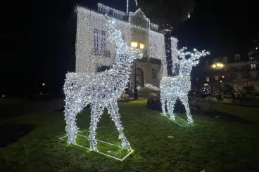 eclairage-public-noel-derichebourg.jpg