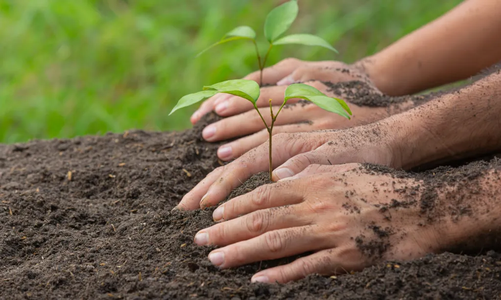 close-up-picture-hand-holding-planting-sapling-plant-scaled.jpg